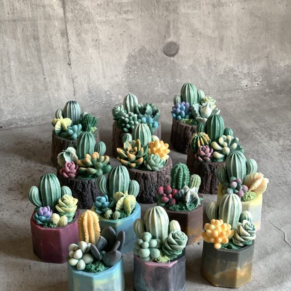 cactus_7856
